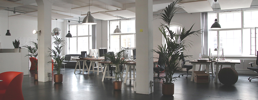 4 of the Most Wanted Features in an Office Space for Lease
